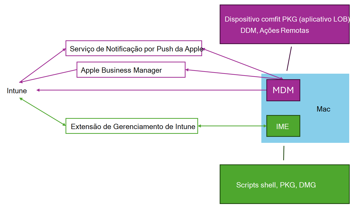 Um diagrama que mostra como a MDM do macOS e a Extensão Managemnt do Intune funcionam em conjunto para suportar a gestão de dispositivos macOS com o Microsoft Intune