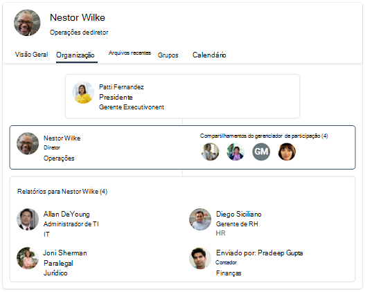 Captura de ecrã do organograma com três níveis diferentes.