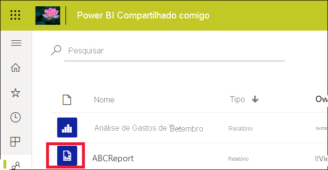 Captura de tela mostrando a lista de relatórios com um relatório padrão e um relatório paginado.