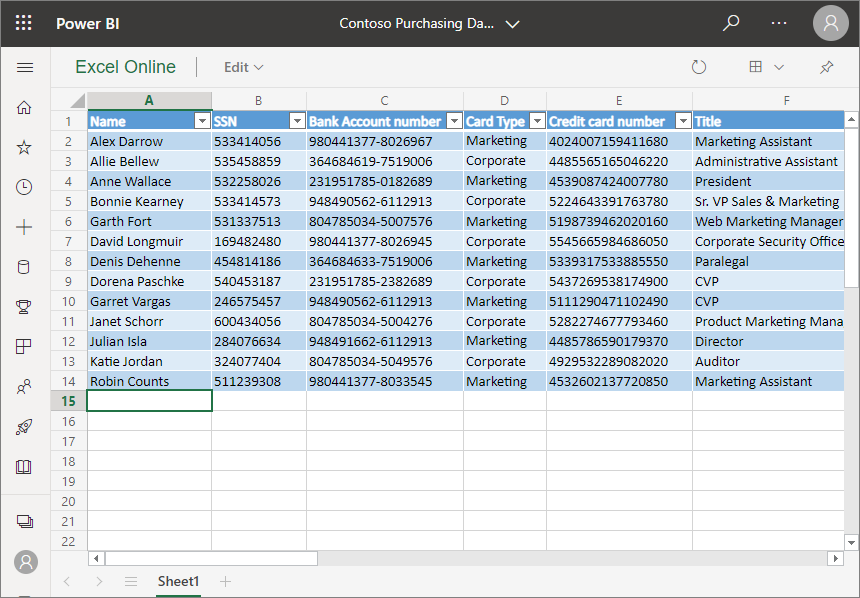 Captura de tela mostrando o Excel Online no Power BI.