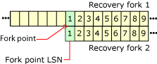 Como os LSNs são reutilizados em bifurcações de recuperação diferentes