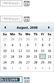 Silverlight DatePicker control