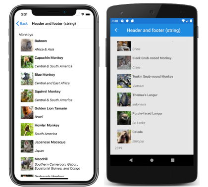 Captura de tela de um cabeçalho e rodapé de cadeia de caracteres CollectionView, no iOS e no Android