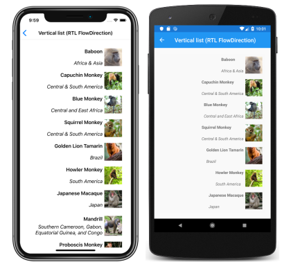 Captura de tela de um layout de lista vertical da direita para a esquerda do CollectionView, no iOS e no Android