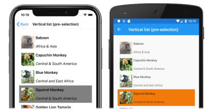 Captura de tela de uma lista vertical do CollectionView com pré-seleção única, no iOS e Android