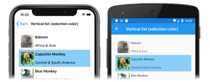 Captura de tela de uma lista vertical CollectionView com uma cor de seleção única personalizada, no iOS e Android