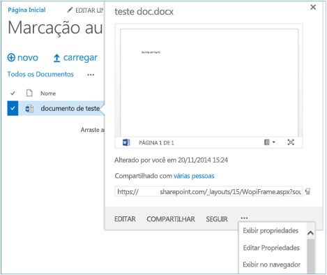 Captura de tela de um documento de teste na biblioteca com as propriedades expandidas.