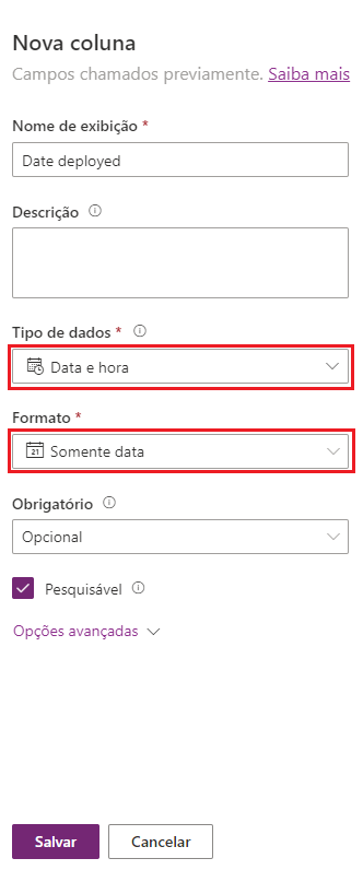 Captura de tela da adição de uma coluna de data com tipo e formato de dados realçados.