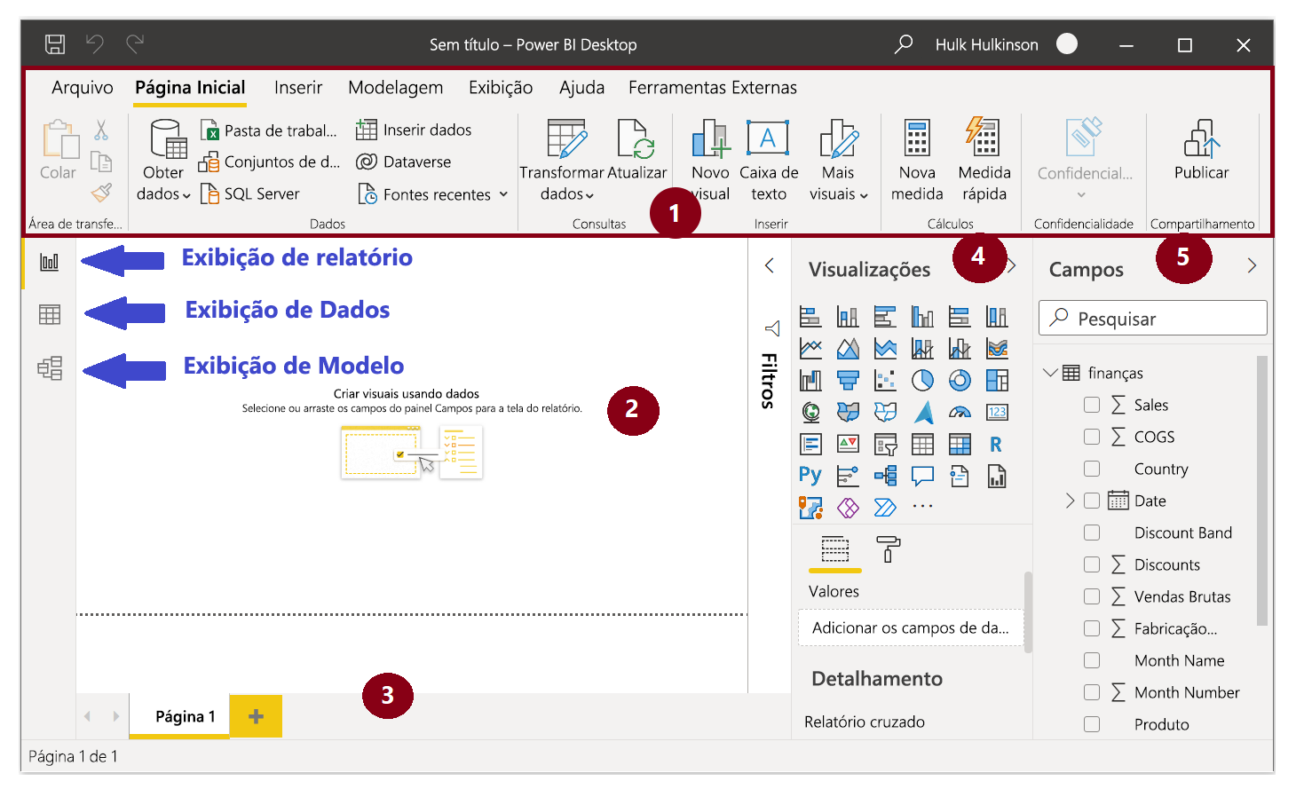 As cinco áreas da exibição Relatório.