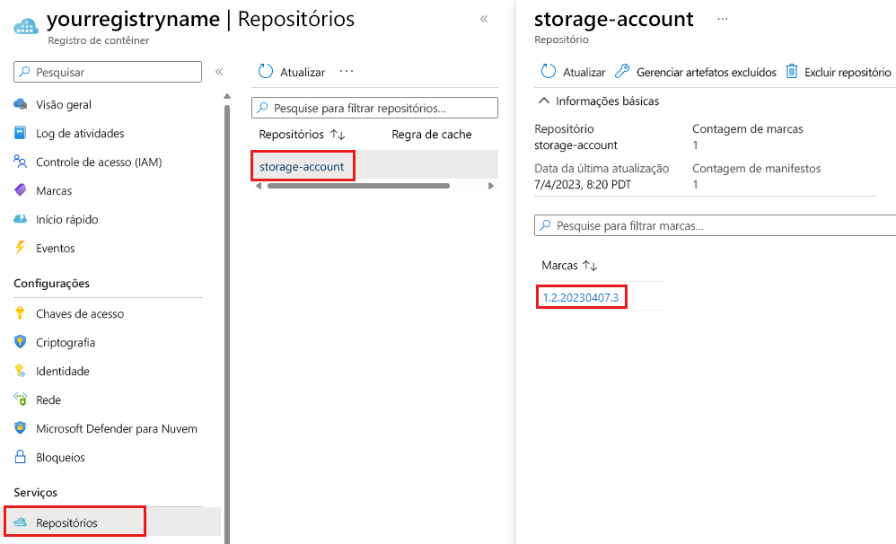 Captura de tela do portal do Azure que mostra um módulo do Bicep no Registro de Contêiner.