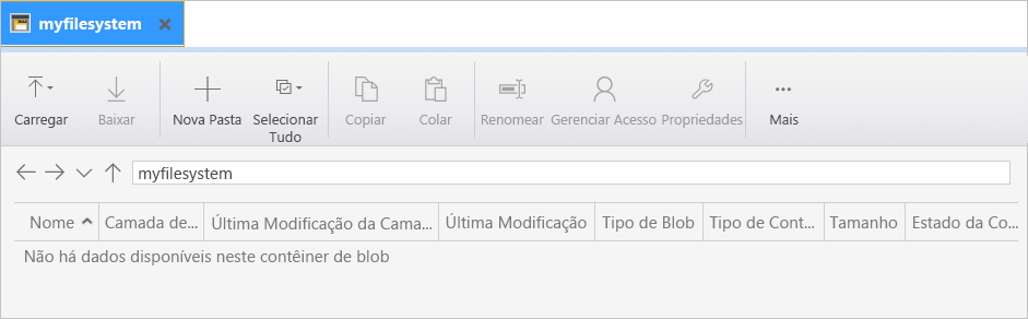 Captura de tela que mostra a faixa de opções de controle e a exibição de myfilesystem.