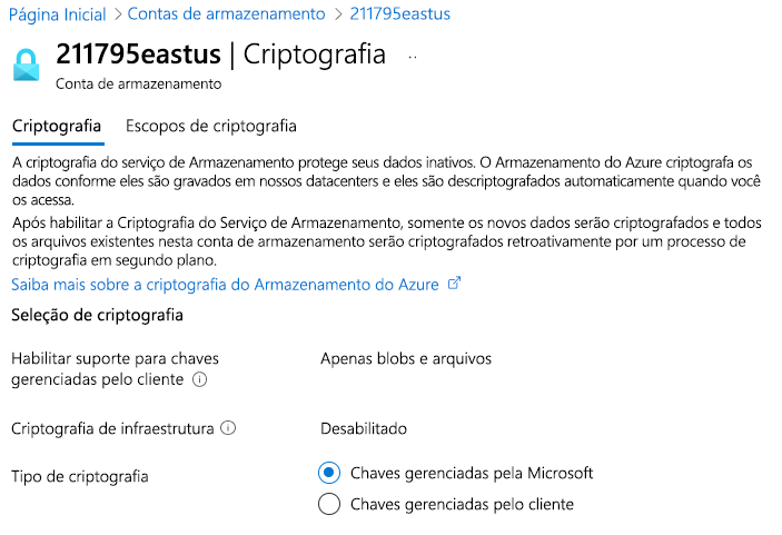 Captura de tela que mostra a criptografia do Armazenamento do Azure, incluindo chaves gerenciadas pela Microsoft e chaves gerenciadas pelo cliente.