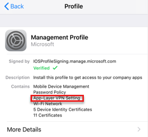 Captura de tela que mostra que o Perfil de Gerenciamento tem o perfil VPN.