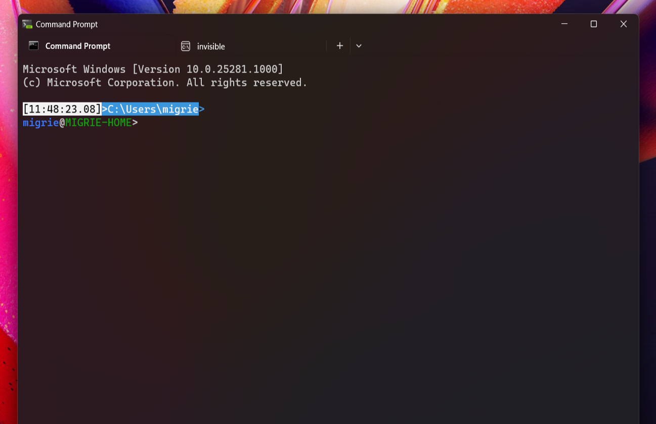 Windows Terminal Chonk Theme