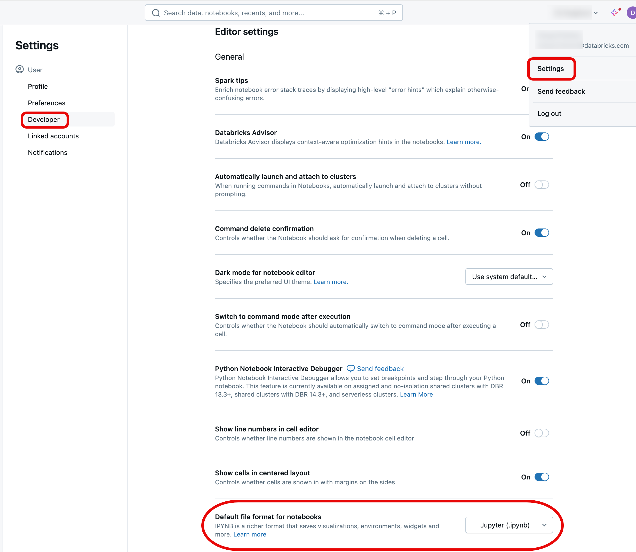 Alterar o formato padrão do bloco de anotações nas configurações do desenvolvedor do seu perfil