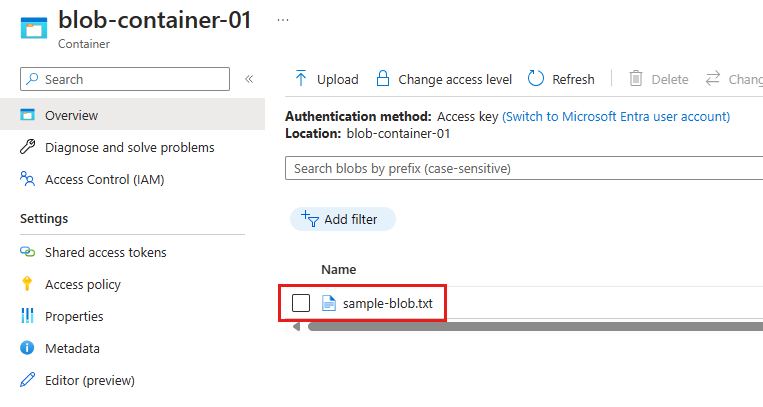 Página do portal do Azure para o contêiner de blob, mostrando o arquivo carregado