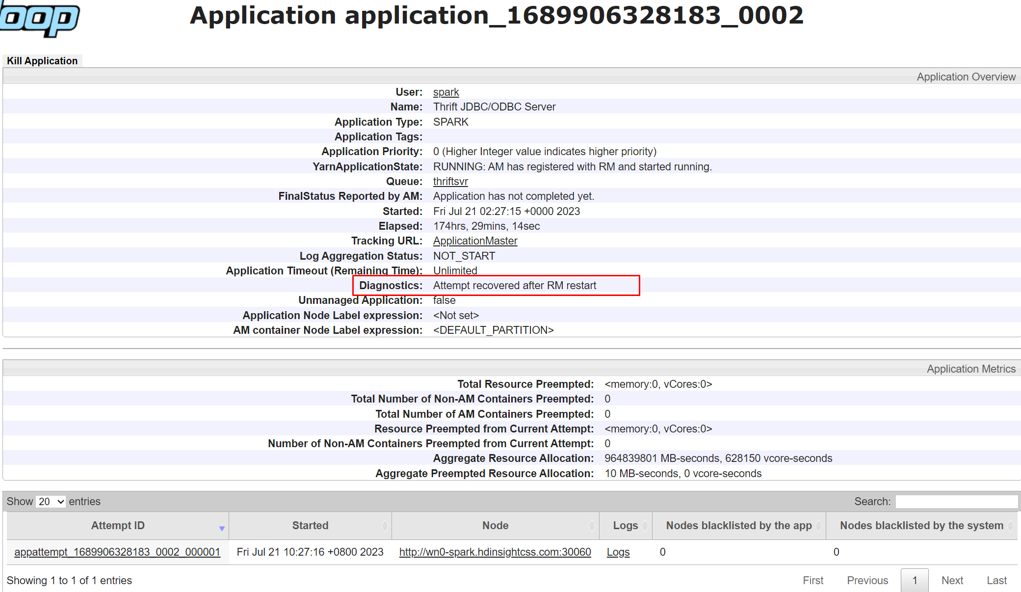 Captura de tela mostrando o Yarn Application Diagnostics.