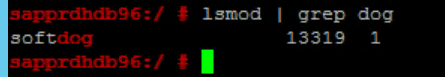 Captura de ecrã que mostra parte de uma janela da consola com o resultado da execução do comando l s mod.