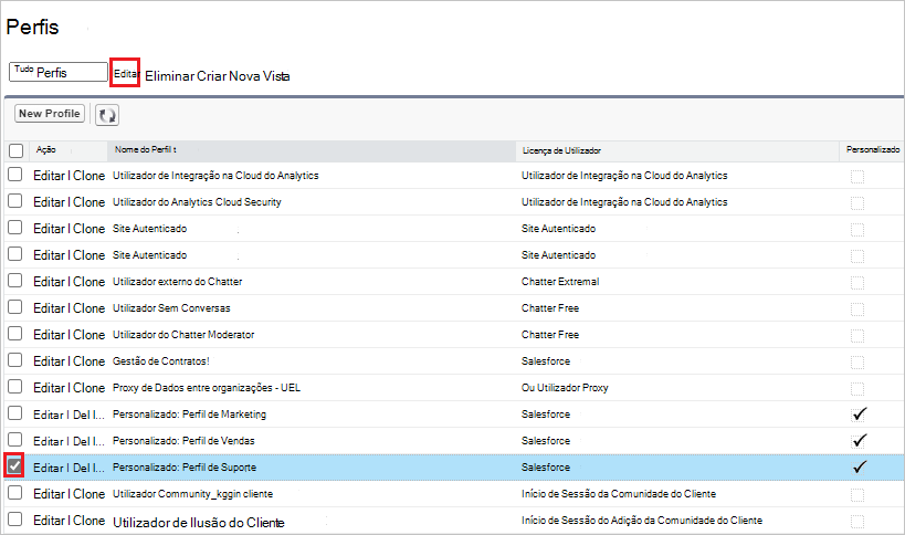 Perfil de edição do Salesforce.