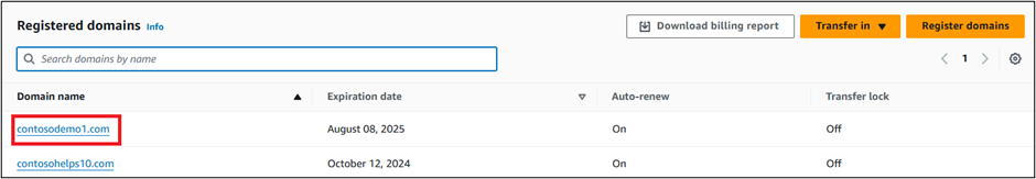 Captura de ecrã de Domínios Registados onde seleciona o Nome de Domínio para o registo TXT de verificação de domínio.