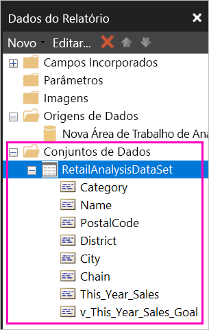 Captura de ecrã dos campos listados sob o conjunto de dados no painel Dados do Relatório.