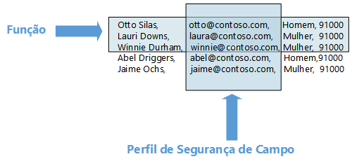 Baseado em função em comparação com segurança em nível de campo