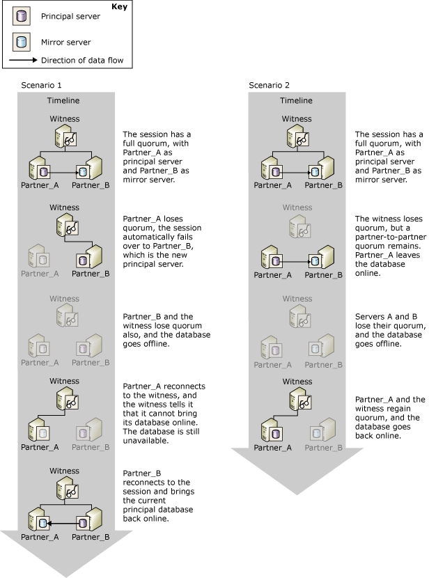 Como a testemunha e os parceiros cooperam