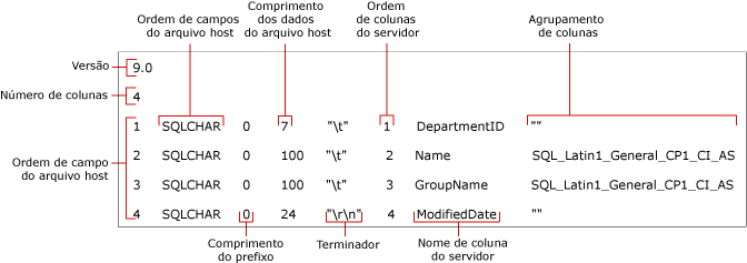 Identifica os campos de um arquivo de formato não XML