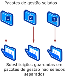 Guardar substituições nos pacotes de gestão correspondentes