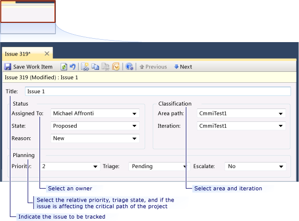 CMMI Issue work item form