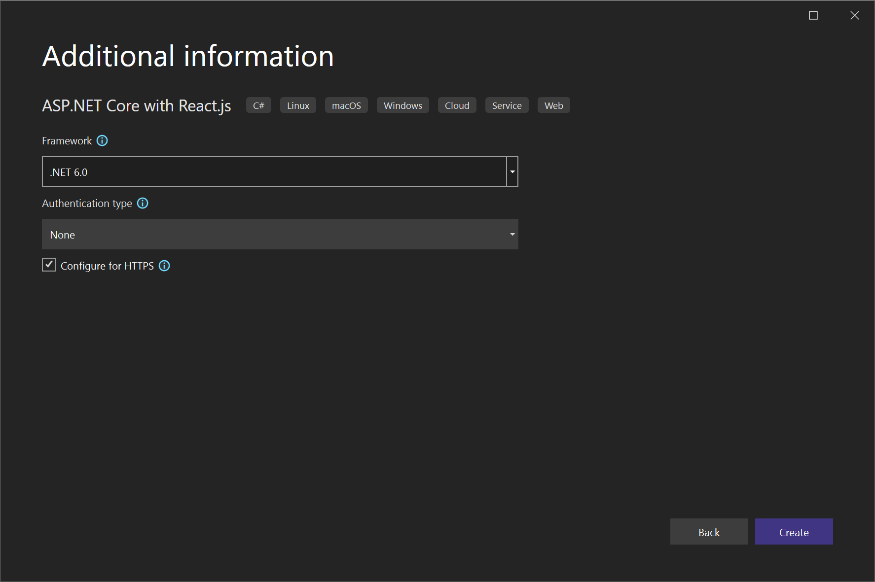 Captura de tela da criação de um projeto de React.js – Tela de informações adicionais.