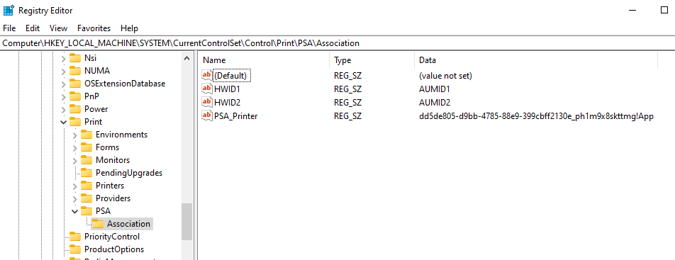 A chave PSA no editor do registro