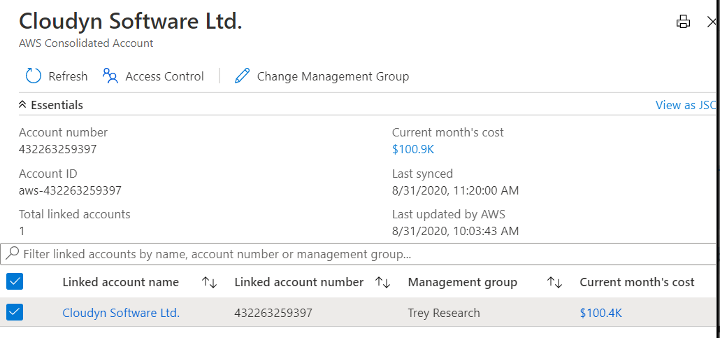 Снимок экрана: сведения о консолидированной учетной записи AWS.