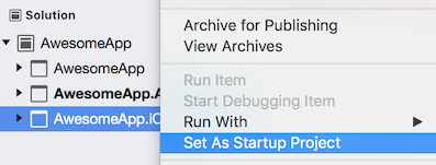 Задание запускаемого проекта в iOS