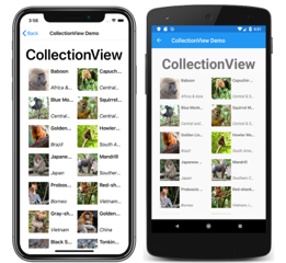 Пример CollectionView