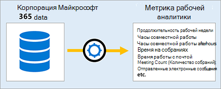 Данные для метрик.