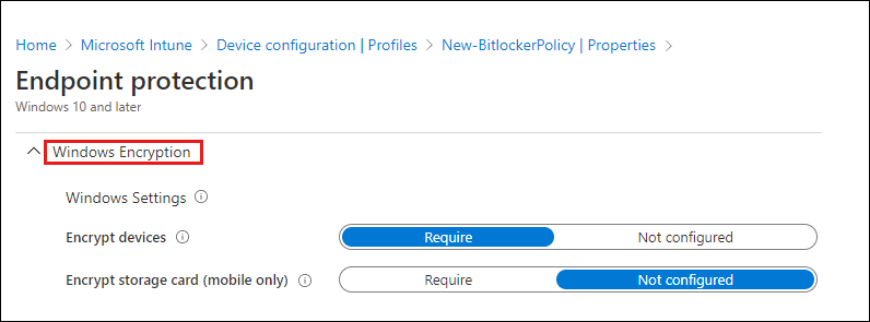 Снимок экрана: экран Endpoint Protection.