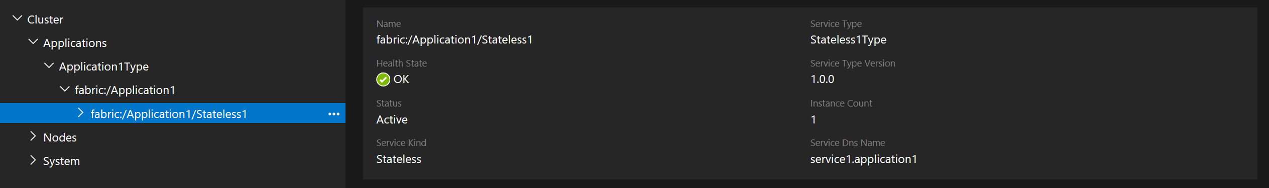 Skärmbild av DNS-namnet i Service Fabric Explorer.