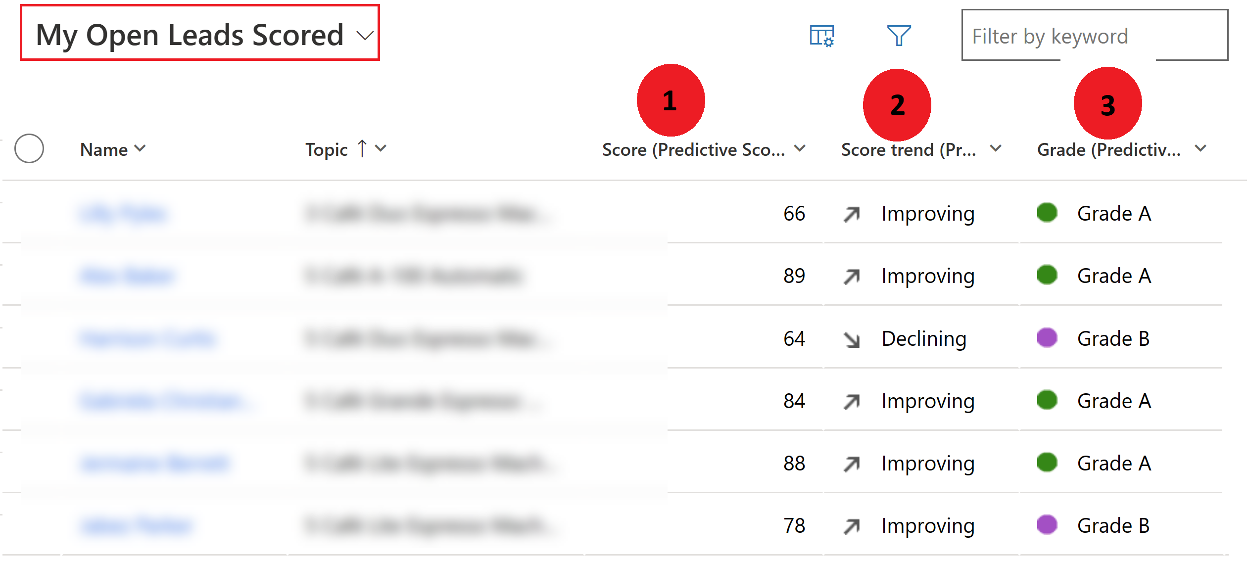 Skärmbild av vyn Mina öppna poängsatta leads.