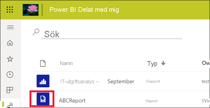 Skärmbild som visar rapportlistan med en standardrapport och en sidnumrerad rapport.