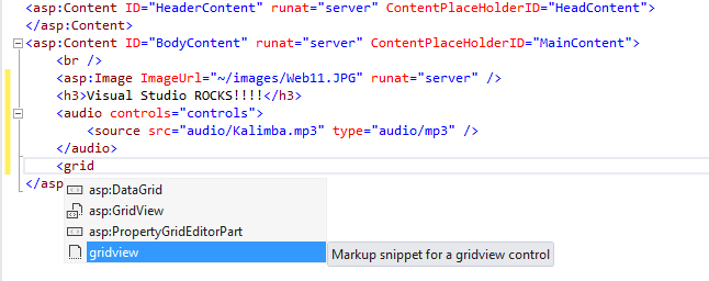 IntelliSense listeleri ve kısmi eşleştirme ile GridView ekleme