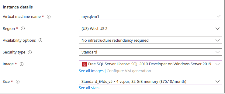 Azure portalında yeni bir SQL VM için örnek ayrıntılarının ekran görüntüsü.