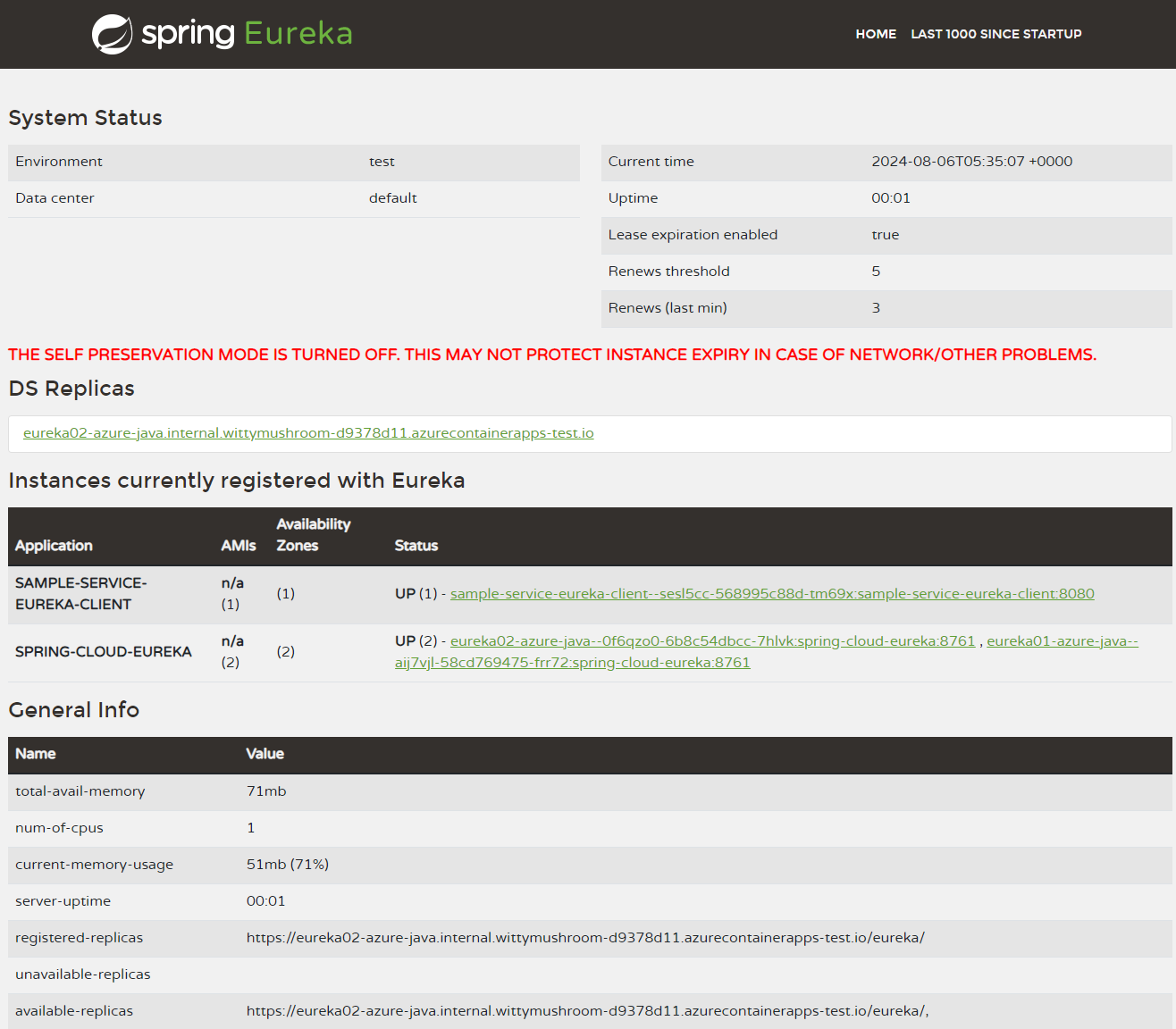 Spring için yüksek oranda kullanılabilir Eureka Server panosunun ekran görüntüsü.