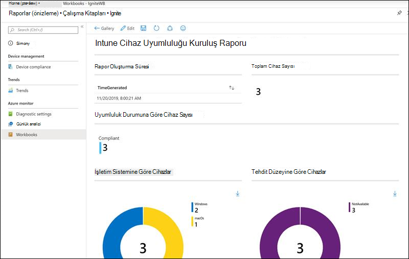 Çalışma Kitapları - Etkileşimli raporlar