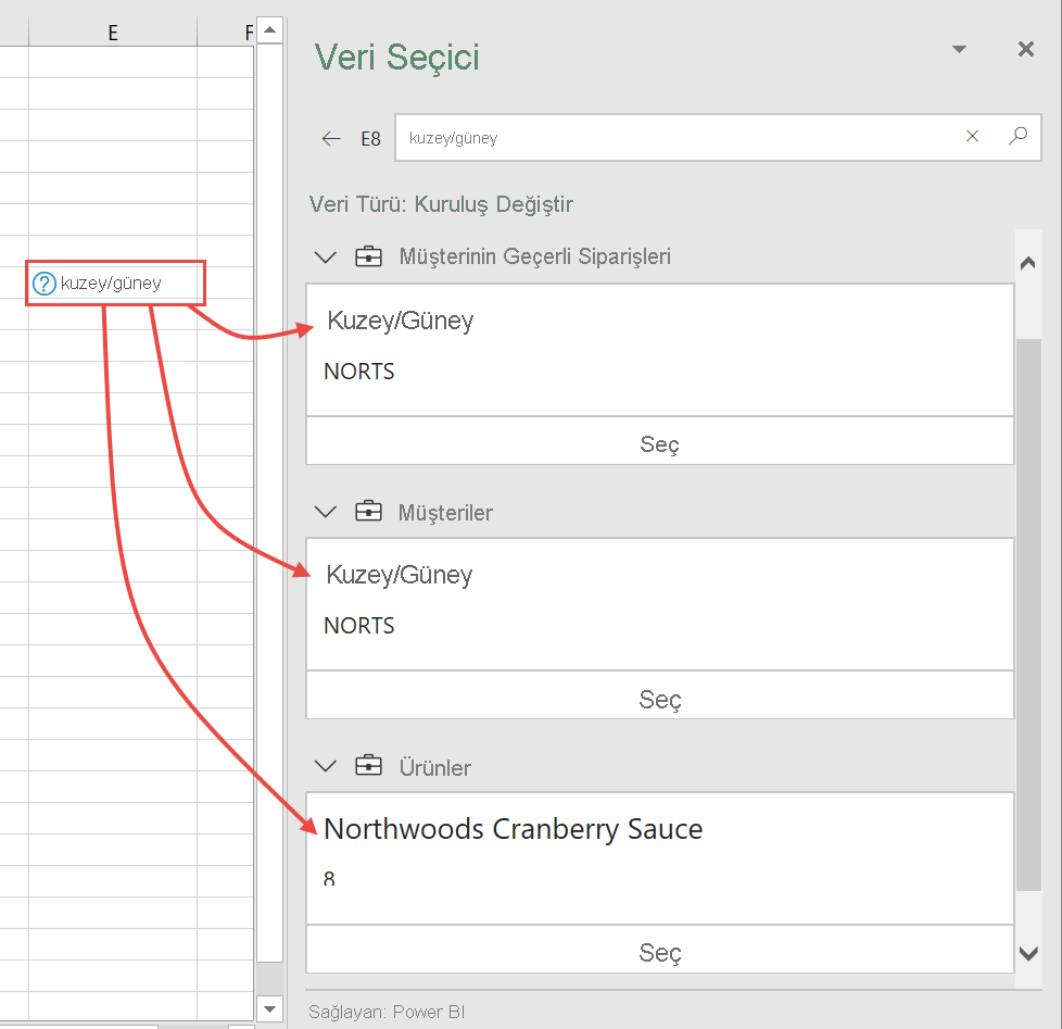 Screenshot of Excel Data Selector pane with multiple possibilities.