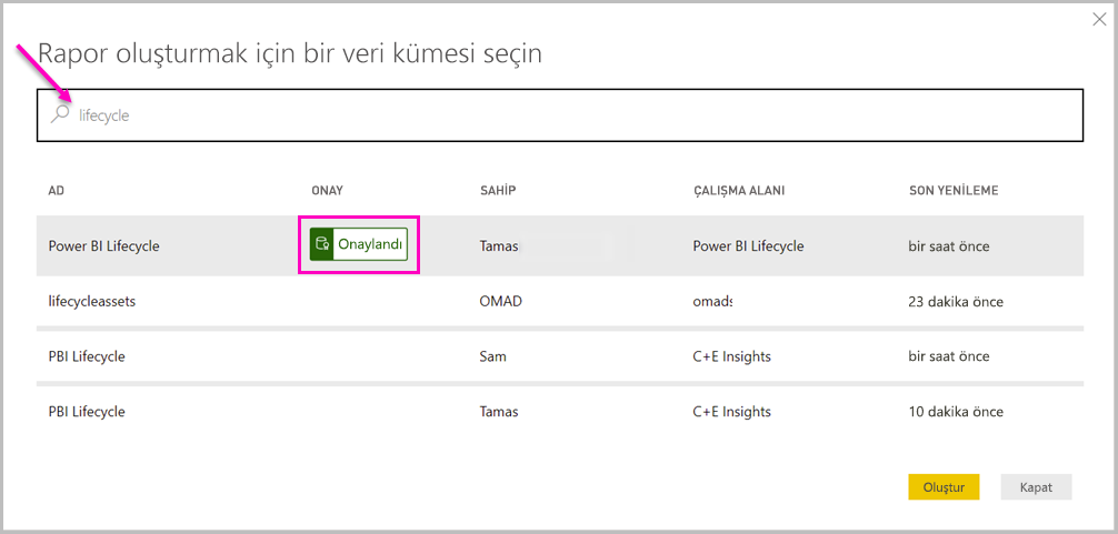 Kullanılabilir anlamsal modellerin listesini gösteren ekran görüntüsü.