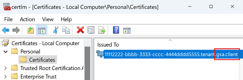 突出显示了 gsa.client 证书的证书列表的屏幕截图。