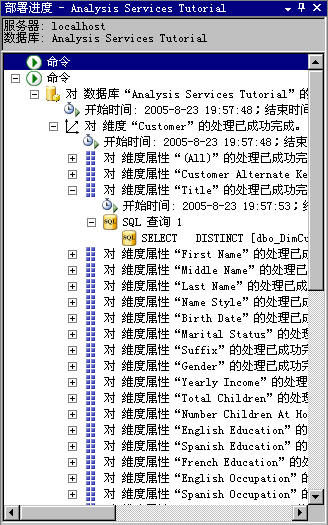 “部署进度”窗口中的 SQL 查询 1 节点