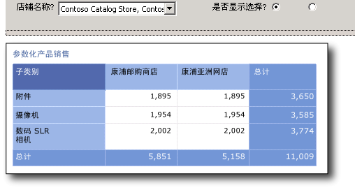 参数化销售报表