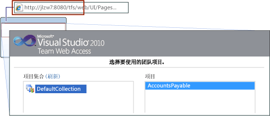 浏览到 Team Web Access